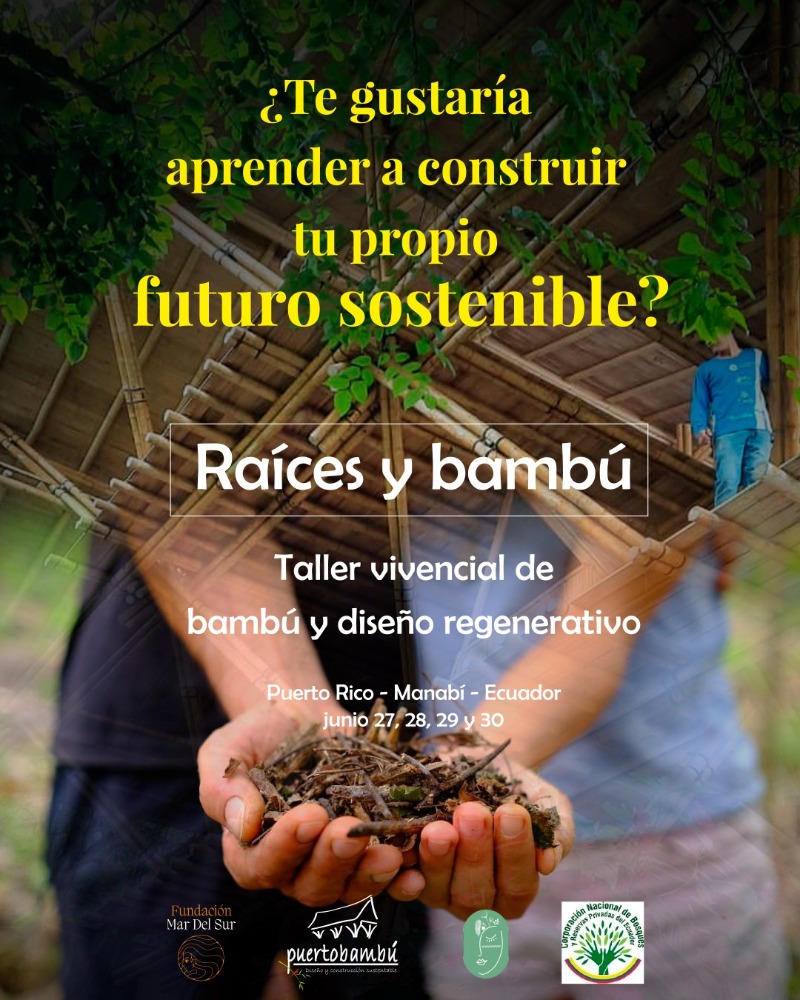 Raíces y Bambú 